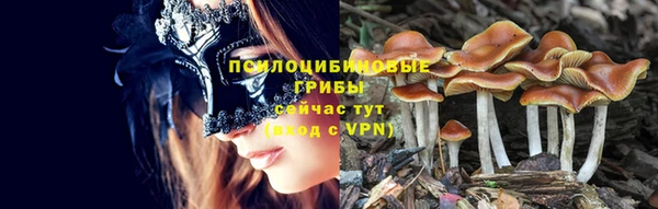 шишки Лагань