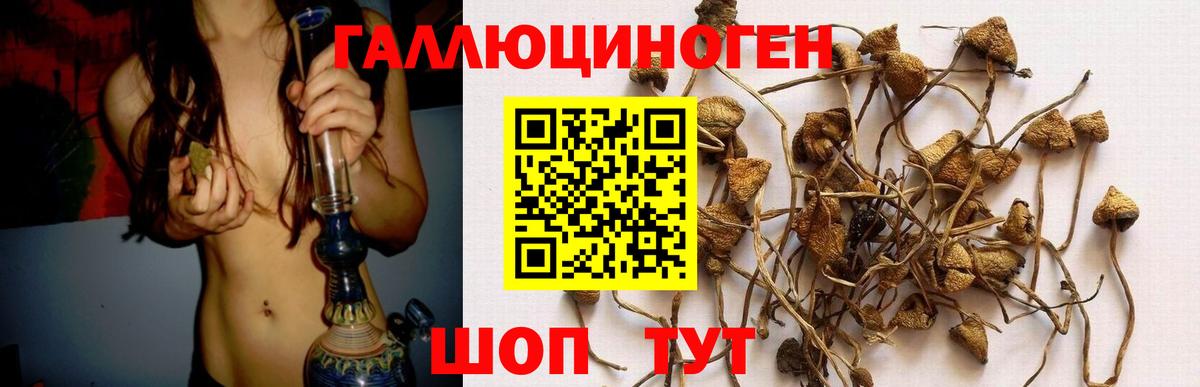 хочу   Галлюциногенные грибы Psilocybe  Вход с VPN  Якутск 